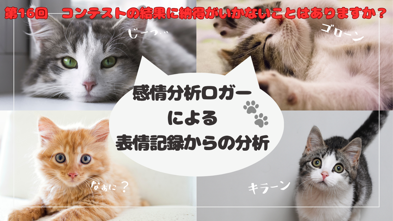 第16回 コンテストの結果に納得がいかないことはありますか?